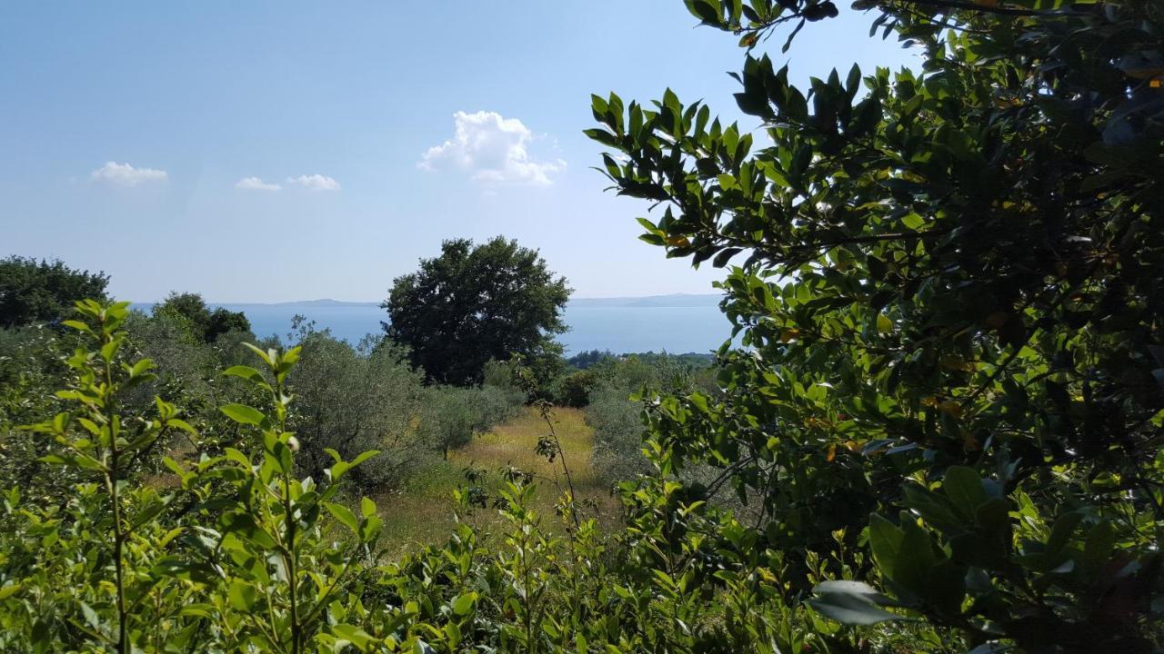 Casale Citerno Daire Bolsena Dış mekan fotoğraf