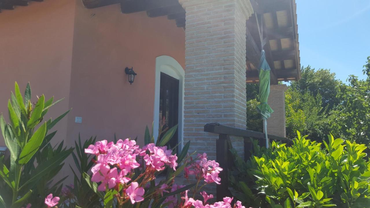 Casale Citerno Daire Bolsena Dış mekan fotoğraf